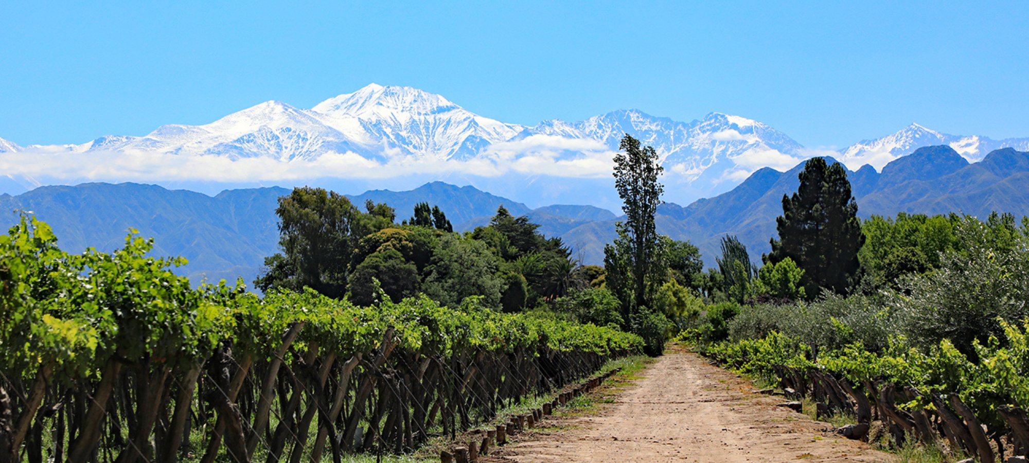 Argentina - Azureau Wine & Spirits