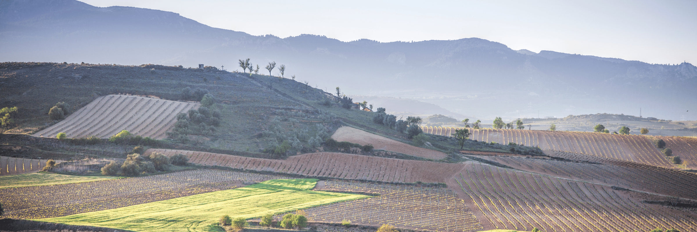 Rioja Vega