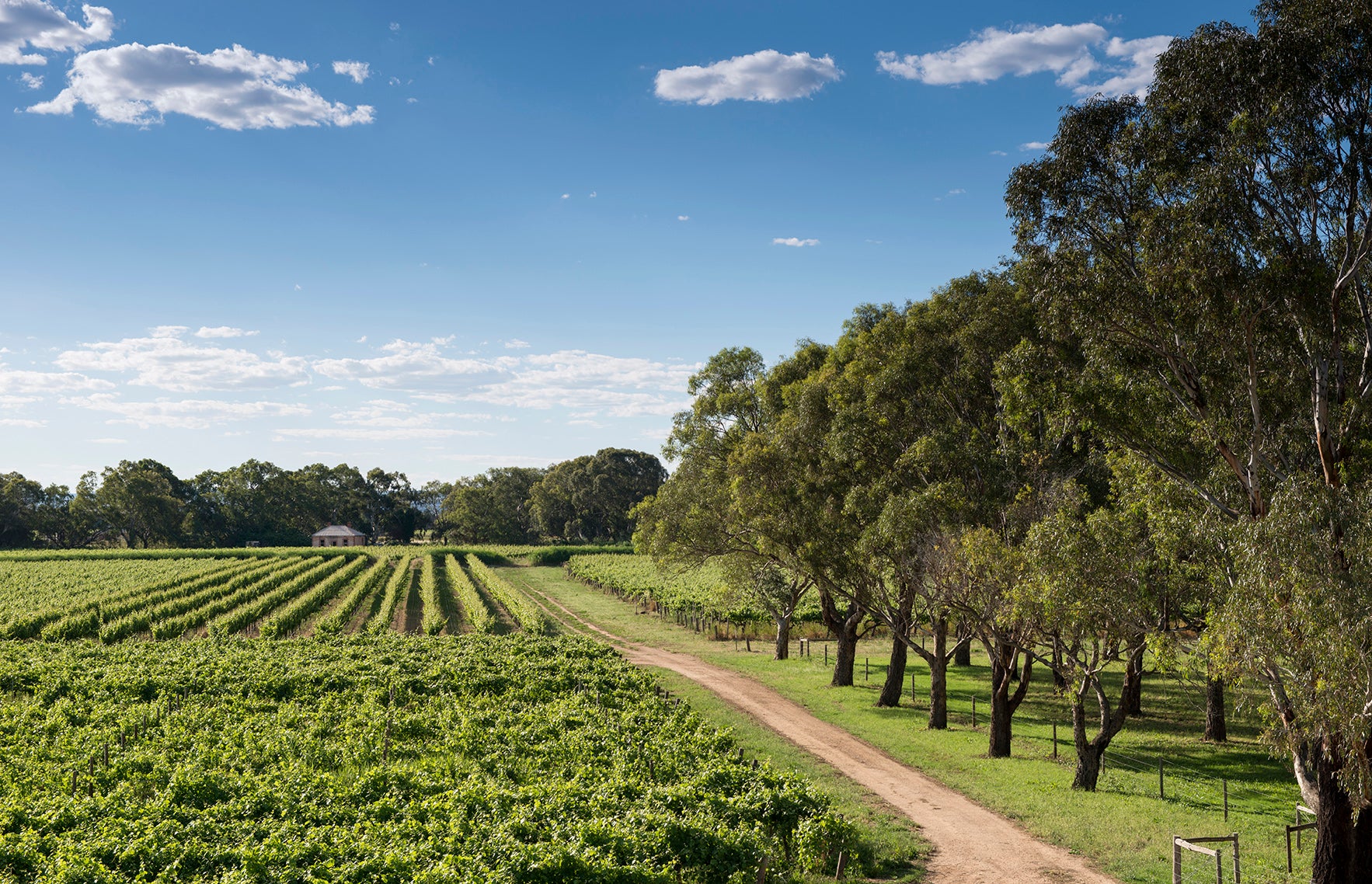 Australia - Azureau Wine & Spirits