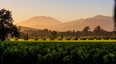California - Azureau Wine & Spirits