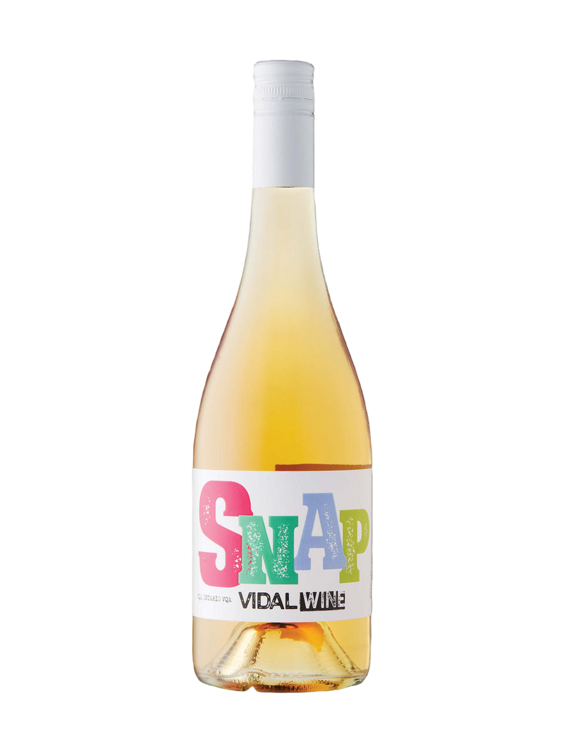 Snap Vidal VQA